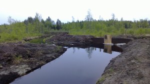 Korteoja uudelle reitille