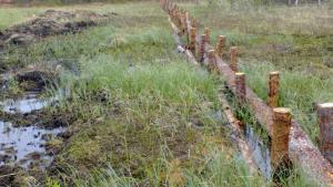 Suiste toimii 300514 pk