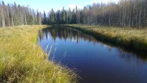 Saarisenojanniityn lintuvesi ja laskeutusallas. Toteutettu syksyllä 2012