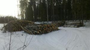 Otto Moilanen on hoitanut puiden ajon pehmeiköltä