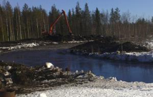 Kosteikon pohjoislaitaan syntyy vaihteleva vesialue