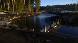 Lieteallas valmiina käyttöön