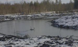 Ensimmäiset asukkaat ovat jo täällä