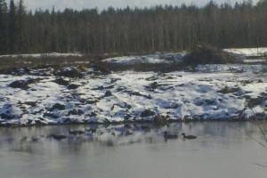 Ja lisää tulee perässä