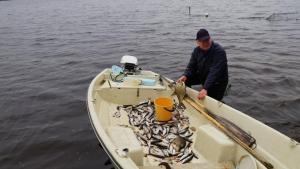 Otto ja saalis 130515 pk