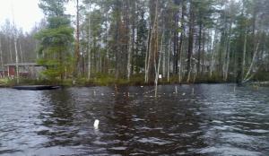 Rysä Jäälinjärven luusuassa