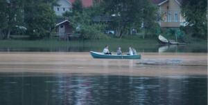 Järven pinta muuttui ruskeaksi.