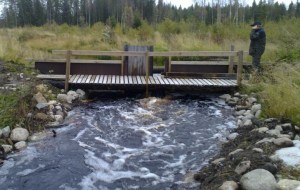 Komeat kuohut Korteojan padolla 190915