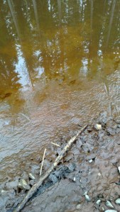 Lietettä kertyy myös altaan luiskille