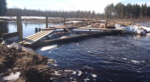 Kalamäen tulvapato johtaa vedet ohitusuomaan