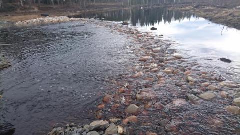 Kolme neljäsosaa Jäälinjärveen tulevasta vedestä virtaa Kalamäen pääpadon yli