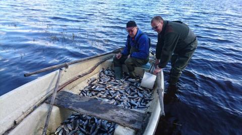 Otto Moilanen ja Matti Kaskentola sekä keskiviikkoaamun rysäsaalis