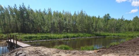 Lietteenkeruuallas täyttymässä. Saarisenojan uoma on taustalla. Vesi virtaa altaasta alkuperäiseen uomaan pintavaluntana, ja liete laskeutuu altaan pohjalle