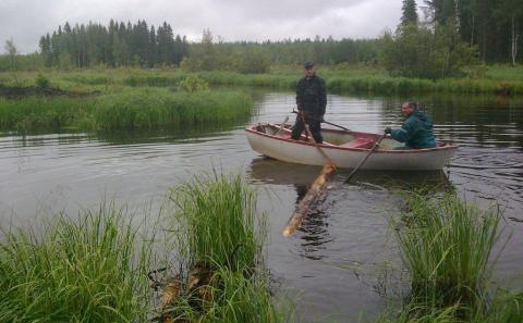 Hoitosillan pilarit siirrettiin vesialueella uittamalla