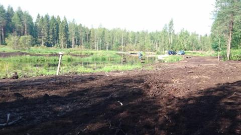 Riistapelto sijaitsee näkyvällä paikalla. Nuolukivi on kuvan vasemmassa reunassa paalun päässä.