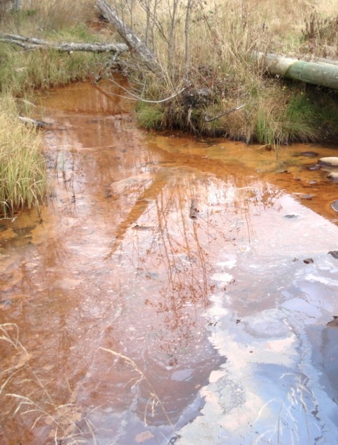 Vanhaan Korteojan uomanpätkään tulee pelkästään pohjavettä. SEn mukana purkautuu paljon rautaa, joka hapettuessaan saostuu.